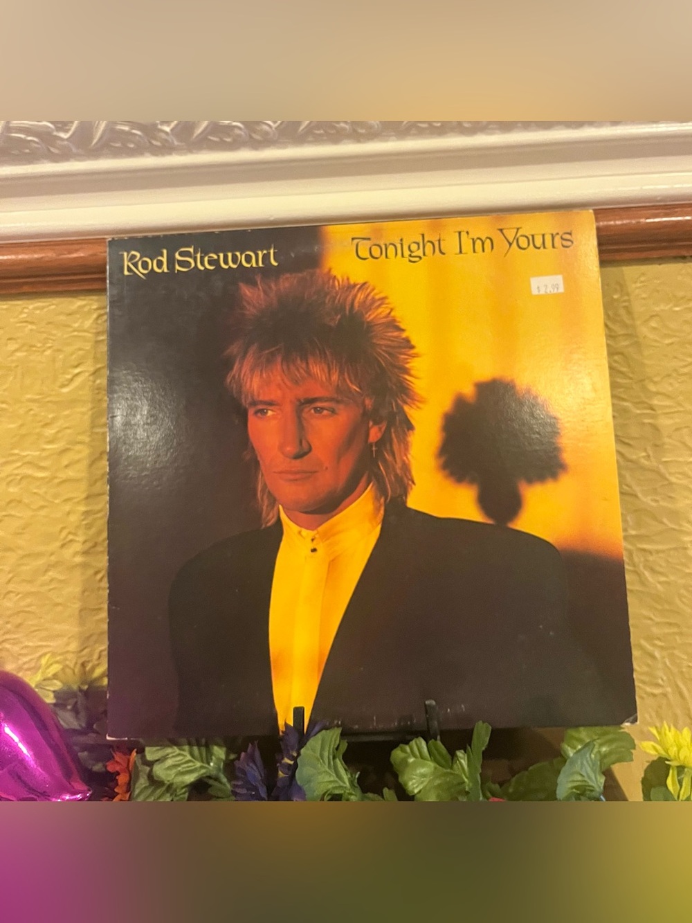 Rod Stewart Vinyl Record Collectible